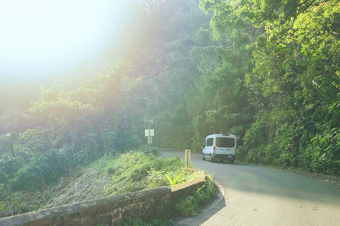 Private Road to Hana Rainforest & Waterfall Experience from Maui - Timing and Pacing