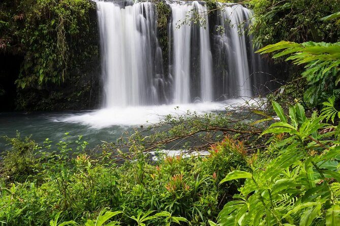 Private Road to Hana Rainforest & Waterfall Experience from Maui - Introduction