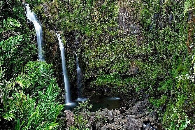Private Road to Hana Rainforest & Waterfall Experience from Maui - What Makes This Tour Stand Out?