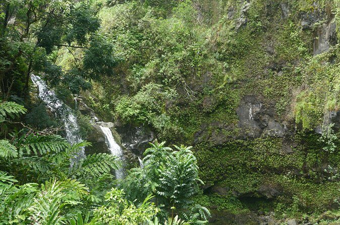 PRIVATE Road to Hana Tour - What Do Others Say?
