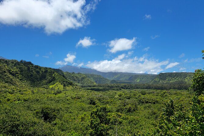 Private Road to Hana Tour with Pickup - The Sum Up