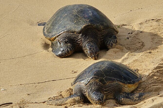 Private Road to Hana Tour with Pickup-Ultimate Package, Backside - The Value of This Tour