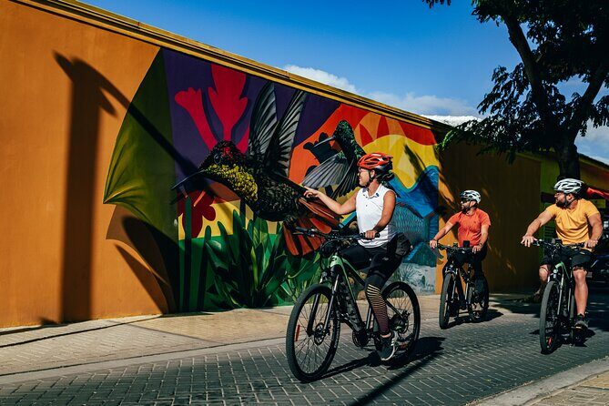 Private Road to San Nicolas Culture Heritage by E-Bike Aruba - In-Depth Look at the Itinerary