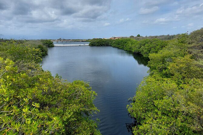 Private Road to San Nicolas Culture Heritage by E-Bike Aruba - Final Thoughts: Who Will Love This Tour?