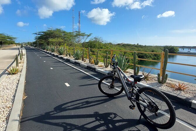 Private Road to San Nicolas Culture Heritage by E-Bike Aruba - Final Words