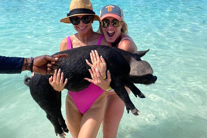 Private Rose Island, Swimming Pigs, Snorkeling and Turtles - Authentic Experiences and Guest Feedback