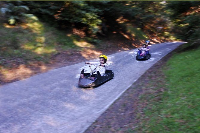 Private Rotorua Tour - Auckland Tour House - Who Should Consider This Tour?