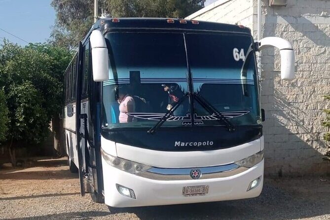 Private Round Transportation from Tijuana to Valle de Guadalupe - What to Expect on the Day