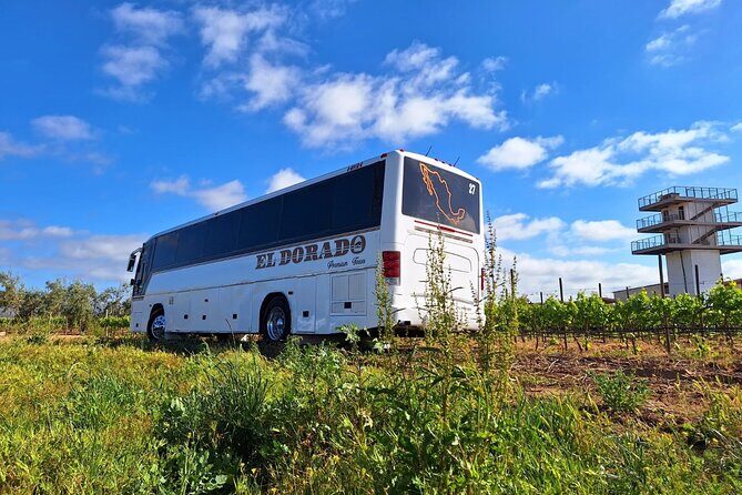 Private Round Transportation from Tijuana to Valle de Guadalupe - Final Thoughts: Is This Tour Right for You?