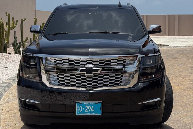 Private Round-Trip Airport Transfer in Aruba - Who Will Love This Service?
