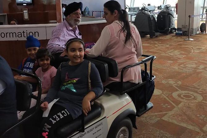 Private Round-Trip Transfer in Delhi with Optional VIP Assistance - What to Expect During the Transfer