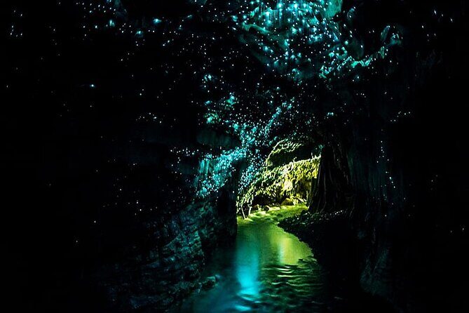 Private Round Trip Transport To Waitomo Caves From Auckland - Introduction: Why Consider Private Transport to Waitomo Caves?