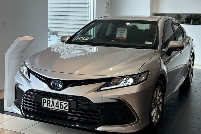 Private Round Trip Transport To Waitomo Caves From Auckland - Transportation and Comfort