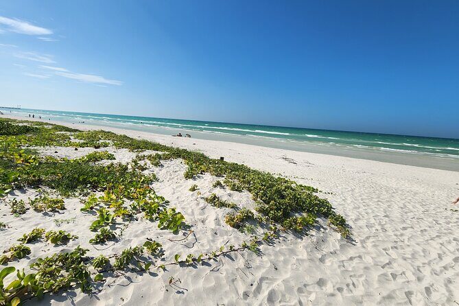 Private Roundtrip Transfer to "El Cuyo Yucatan" - Breaking Down the Itinerary