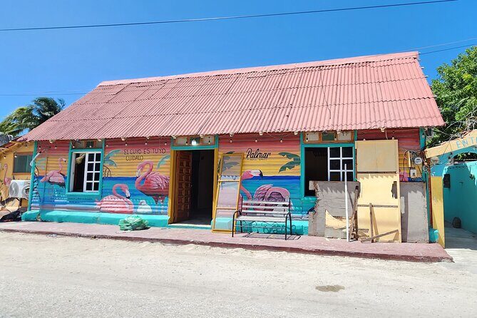 Private Roundtrip Transfer to "El Cuyo Yucatan" - Who Will Love This Service