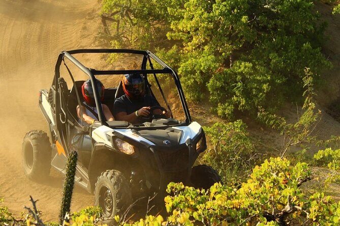 Private RZR tour, handmade quesadillas and Pacific Arch! - Detailed Breakdown of the Itinerary