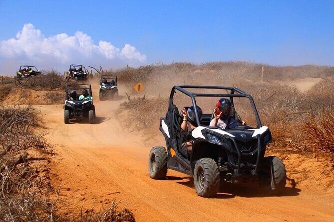 Private RZR tour, handmade quesadillas and Pacific Arch! - Who Would Love This Tour?