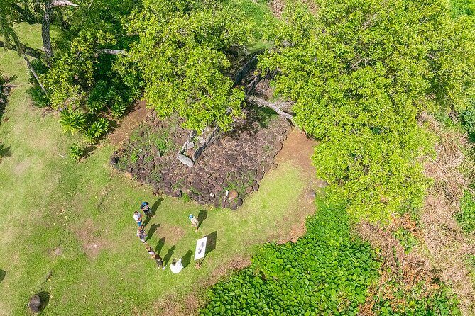 Private Safari Adventure Tour in Bora Bora with Local Guide - An Authentic Off-Road Exploration of Bora Bora