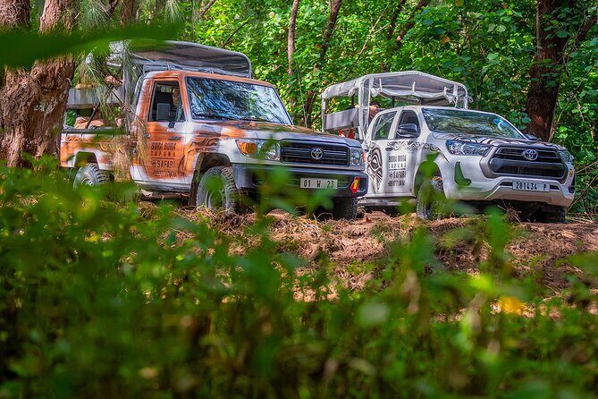 Private Safari Adventure Tour in Bora Bora with Local Guide - The Value of the Tour