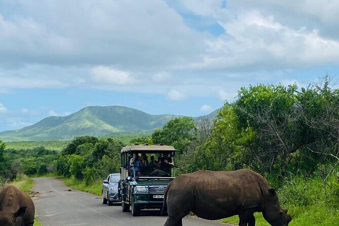 Private Safari and Wildlife Tour in Hluhluwe - Key Points