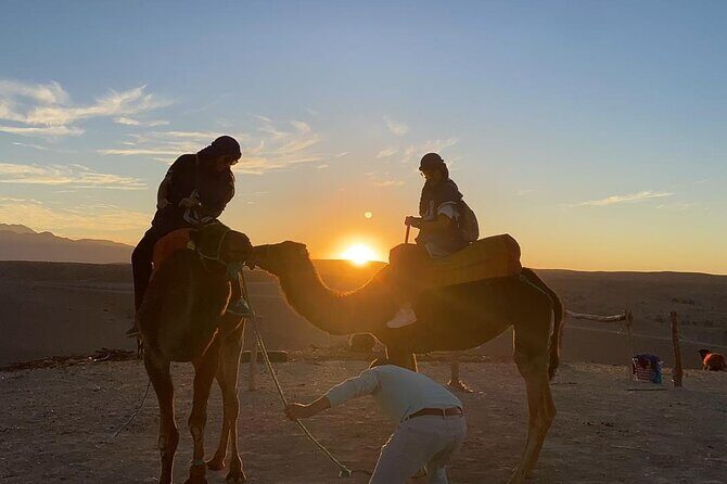 Private Safari Experience in Agafay Desert - The Sum Up
