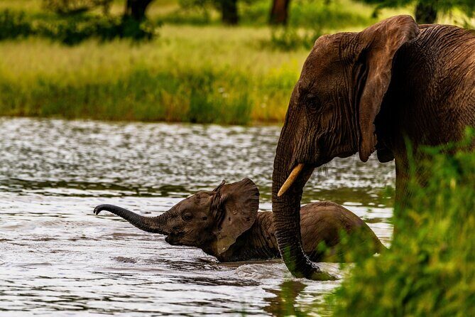 Private Safari in Tarangire National Park - The Sum Up