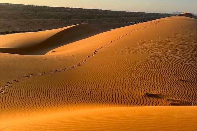 Private Safari tour and Wadi in 4x4 with a local guide - Exploring Oman’s Wilderness: A Review of the Private Safari and Wadi in 4x4 with a Local Guide