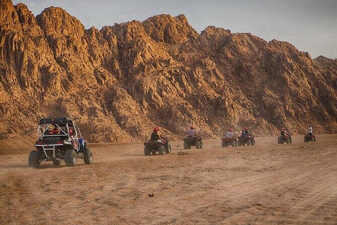 Private Safari Tour & Camel Ride in Sinai Desert of Sharm - Discovering the Sinai Desert: A Review of the Private Safari & Camel Ride in Sharm