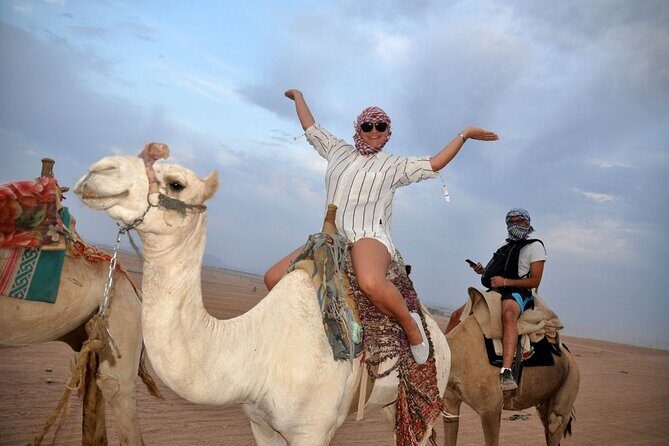 Private Safari Tour & Camel Ride in Sinai Desert of Sharm - Final Thoughts