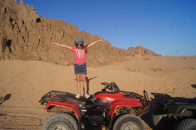 Private Safari Tour in Luxor - An Honest Look at the Experience