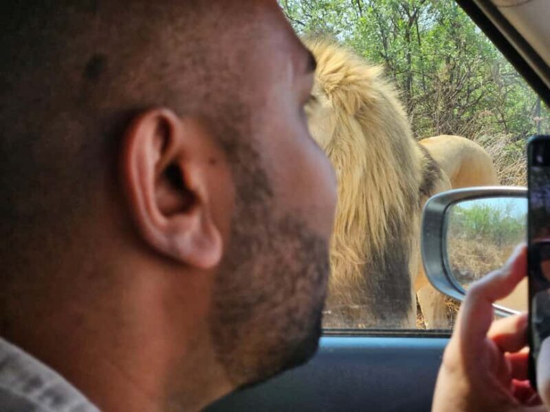Private Safari Tour: Pilansberg National Park Big 5 - Key Points