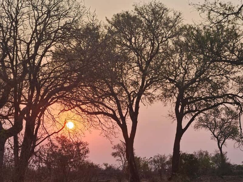 Private Safari Tour: Pilansberg National Park Big 5 - FAQ