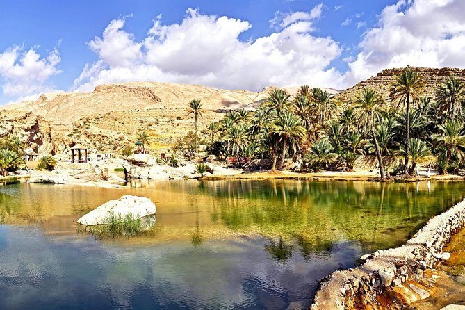 Private Safari Wahiba Sands and Wadi Bani Khalid from Muscat - The Details That Matter