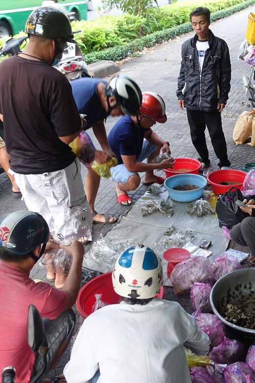 Private Saigon Morning Exercise-Drink Bird Coffee-City Tour - FAQs