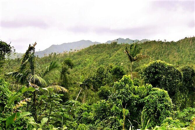 Private Sail & Hike Tour of Grenada - Authentic Experiences and Highlights from Reviews