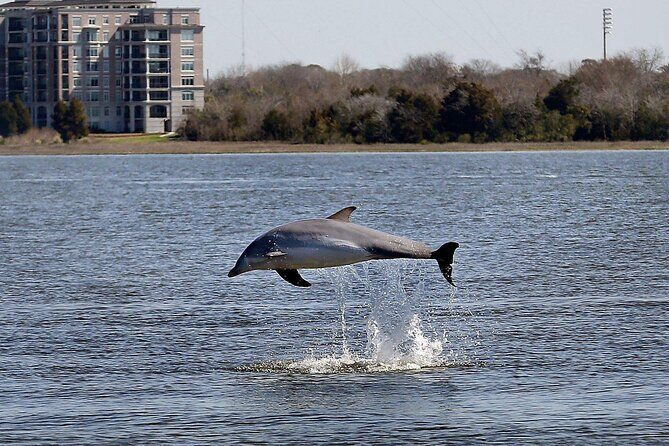 Private Sailing, Dolphin and History Tour on Mystique - FAQ