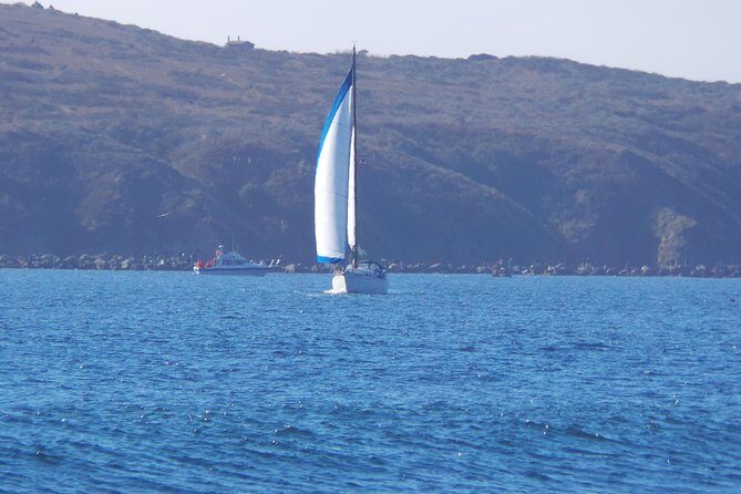Private Sailing Tour of Bodega Bay - Discover the Charm of a Private Sailing Tour in Bodega Bay