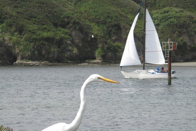 Private Sailing Tour of Bodega Bay - Key Points