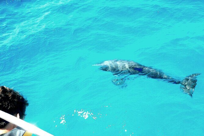 Private Sailing Tour of Pirate Waters and Shipwrecks - Introduction: A Sail into Pirate Waters