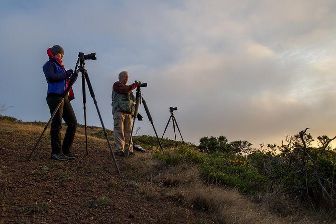 Private San Francisco Sunset Photography Experience - The Experience: What You Can Expect