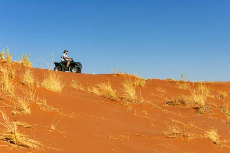 Private Sandwich Harbour 4x4 Tour with Lunch - Walvis Bay - An In-Depth Look at the Sandwich Harbour 4x4 Tour
