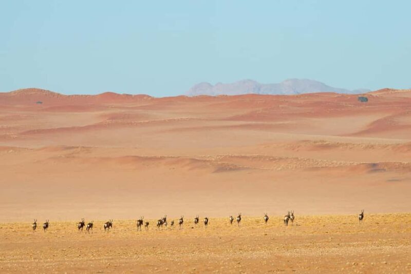Private Sandwich Harbour 4x4 Tour with Lunch - Walvis Bay - Final Thoughts