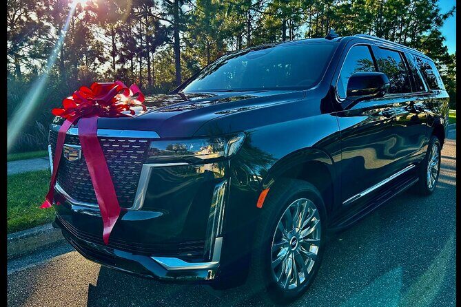 Private Sanford Florida Luxury Car Rides Transportation - What’s the ride like?