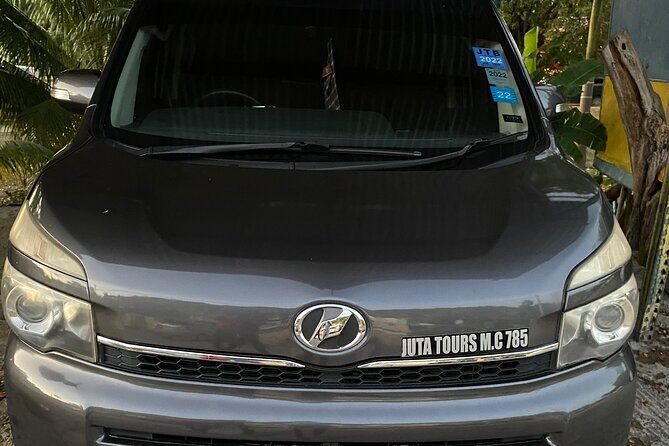 Private Sangsters Int. Airport Pickup to Montego Bay Resorts - Who Is This Tour Ideal For?
