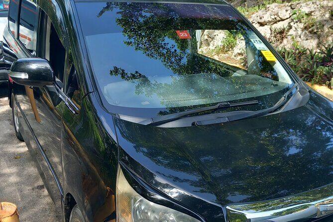 Private Sangsters International Airport Transfers - Who Should Consider This Transfer?