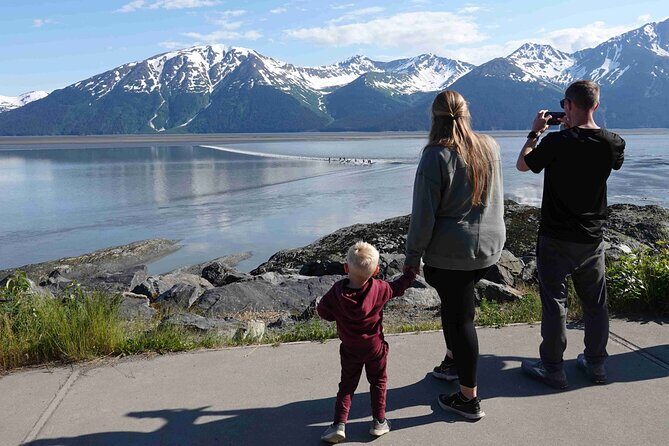 Private Scenic Turnagain Arm Glacier Tour from Anchorage - Introduction to the Experience