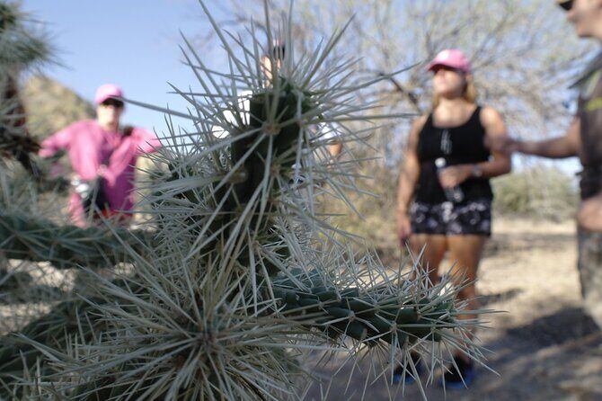 Private Scottsdale Day Hiking Tour - A Closer Look at the Scottsdale Hike Experience