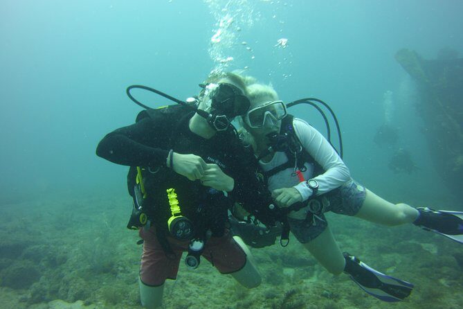 Private SCUBA Dive the reefs of Key Largo for up to 8 certified divers - In-Depth Look at the Experience