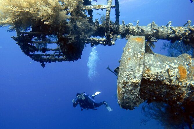 Private Scuba Diving Adventure in the Red Sea of Aqaba - Exploring Aqaba’s Red Sea: A Closer Look at the Experience