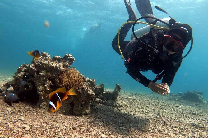 Private Scuba Diving Adventure in the Red Sea of Aqaba - FAQ
